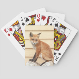 Red Fox Kit i Hudson Valley Casinokort