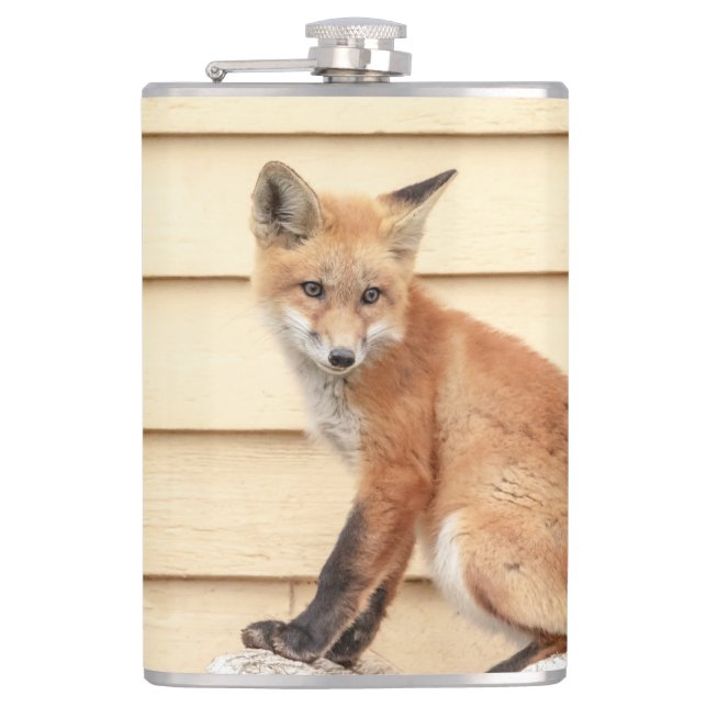 Red Fox Kit i Hudson Valley Fickplunta (Framsidan)