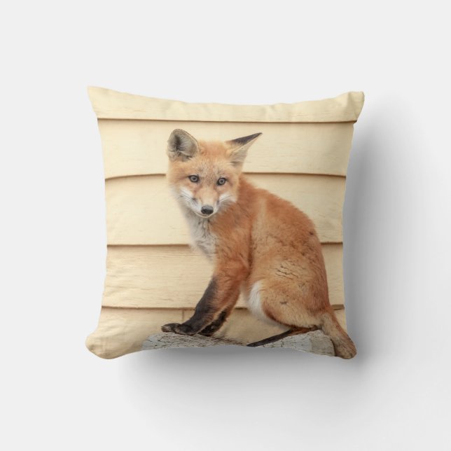 Red Fox Kit i Hudson Valley Kudde (Framsida)