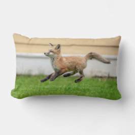 Red Fox Kit i Hudson Valley Lumbarkudde