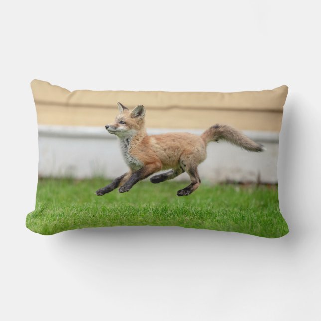 Red Fox Kit i Hudson Valley Lumbarkudde (Framsida)