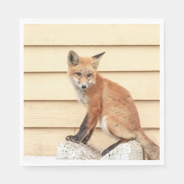 Red Fox Kit i Hudson Valley Pappersservett (Framsidan)