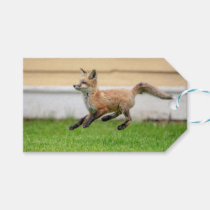 Red Fox Kit i Hudson Valley Presentetikett