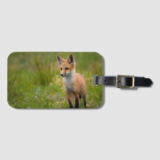 Red Fox Kit in Grassy Meadow Bagagebricka (Framsida horisontal)