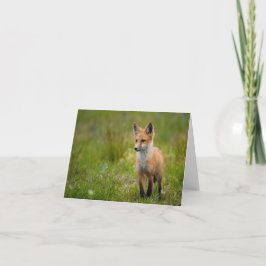 Red Fox Kit in Grassy Meadow Note Card Tack Kort