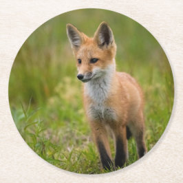 Red Fox Kit in Grassy Meadow Underlägg Papper Rund