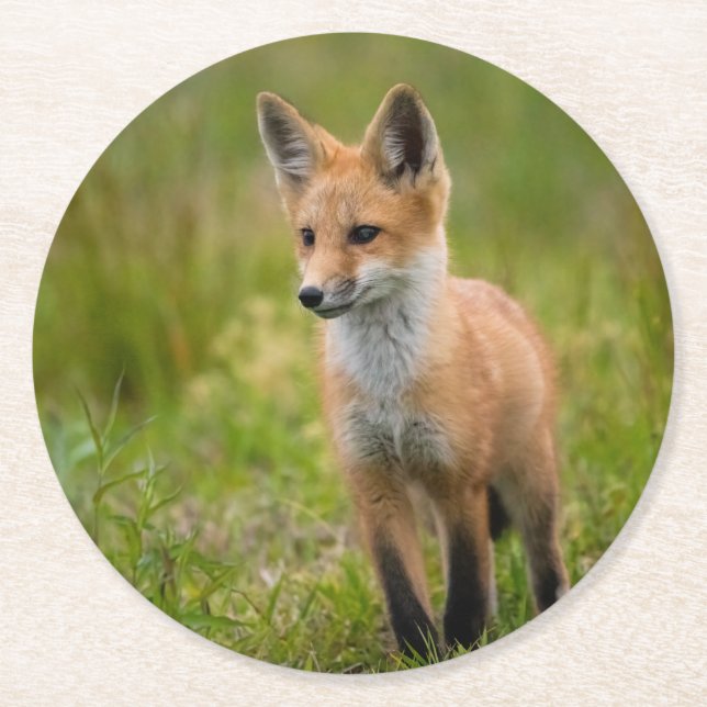 Red Fox Kit in Grassy Meadow Underlägg Papper Rund (Framsidan)
