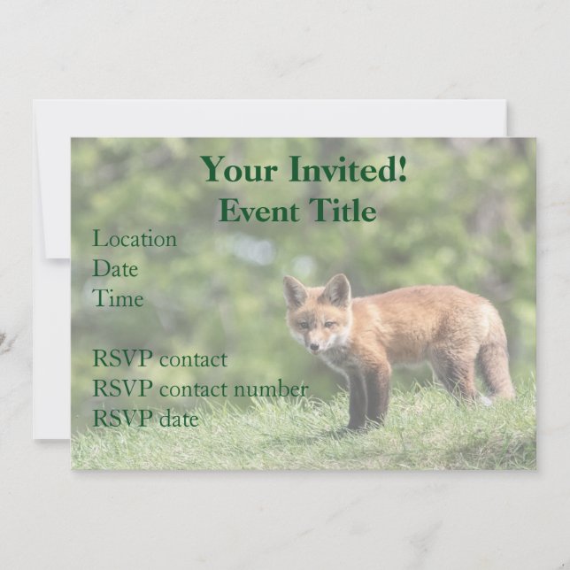 Red Fox Kit Inbjudningar (Framsida)
