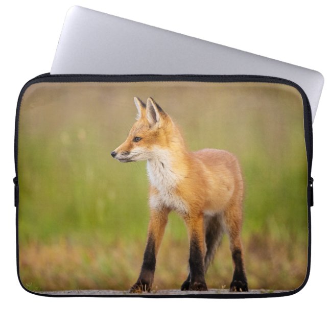 Red Fox Kit Laptop sleeve (Framsidan)