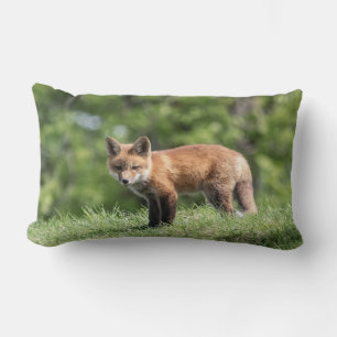 Red Fox Kit Lumbarkudde