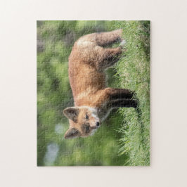 Red Fox Kit Pussel