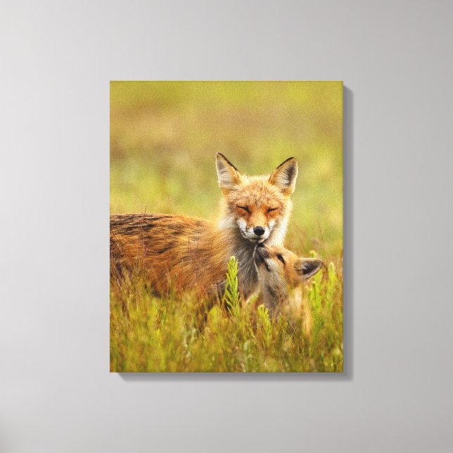 Red Fox Kit Tittar upp till Kanvastrycket Momma Vi Canvastryck (Framsida)