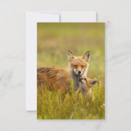 Red Fox Kit Tittar upp till mamma Greeting Card Tack Kort