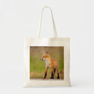 Red Fox Kit Tygkasse