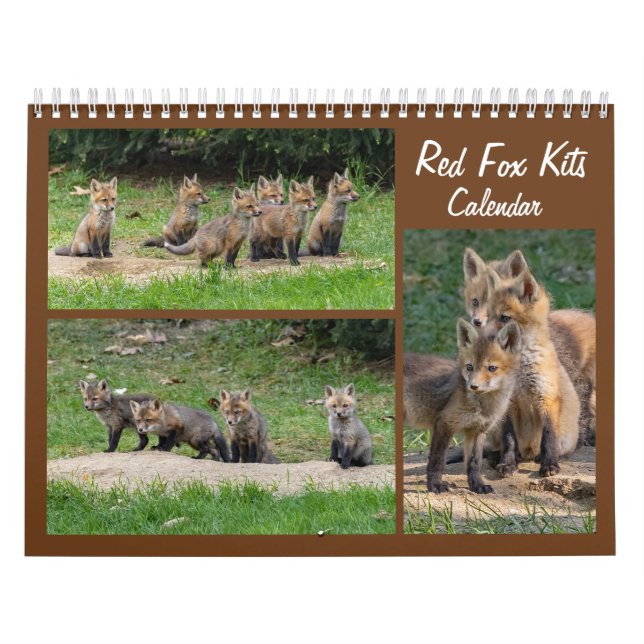 Red Fox Kits Calendar Kalender (Omslag)