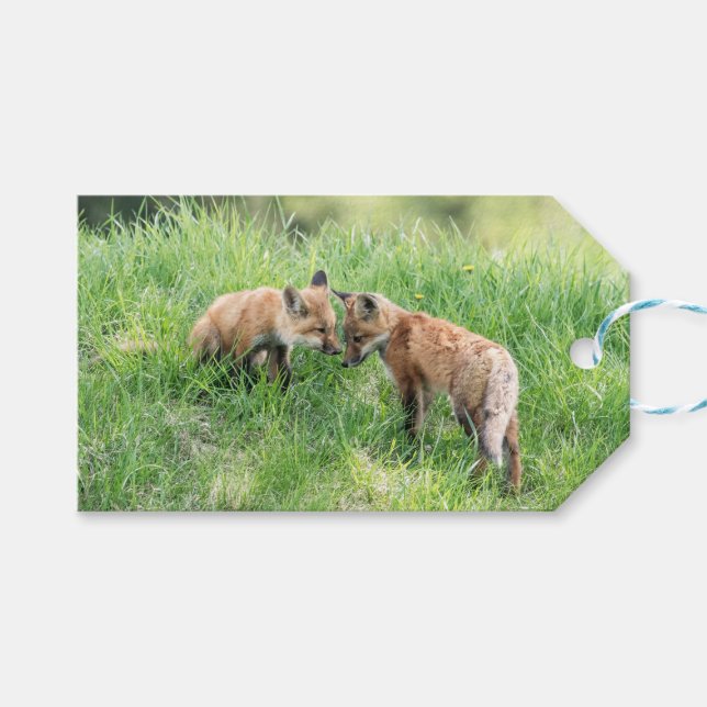 Red Fox Kits Presentetikett (Framsidan (Horisontell))