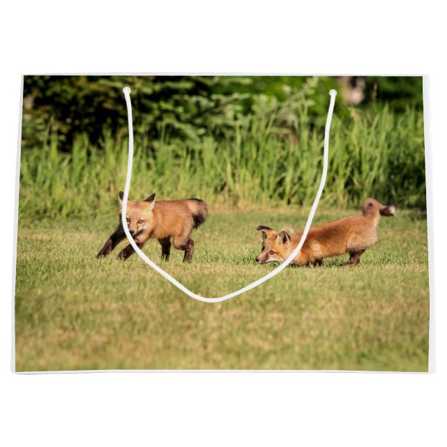 Red Fox Kits Spela (Framsidan)
