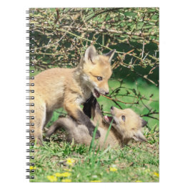 Red Fox Kits Spela Anteckningsbok