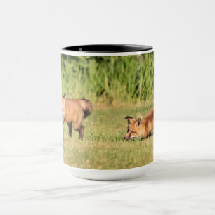 Red Fox Kits Spela Mugg