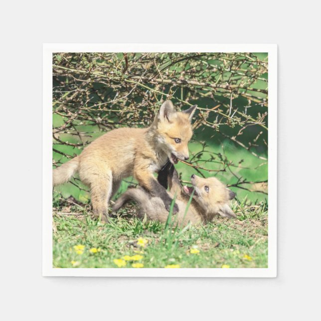 Red Fox Kits Spela Pappersservett (Framsidan)