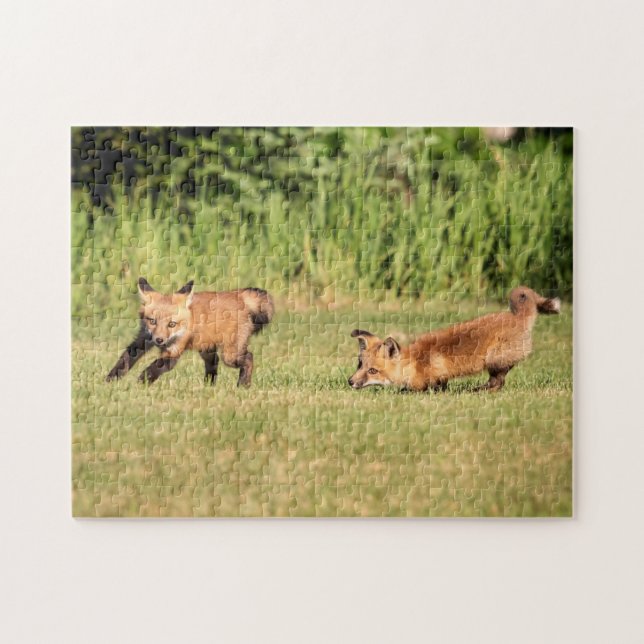 Red Fox Kits Spela Pussel (Horisontell)