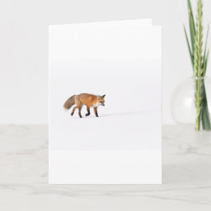 Red Fox Kort