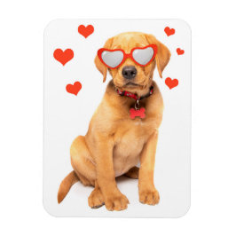 Red Fox Labrador Puppy Kärlek Magnet