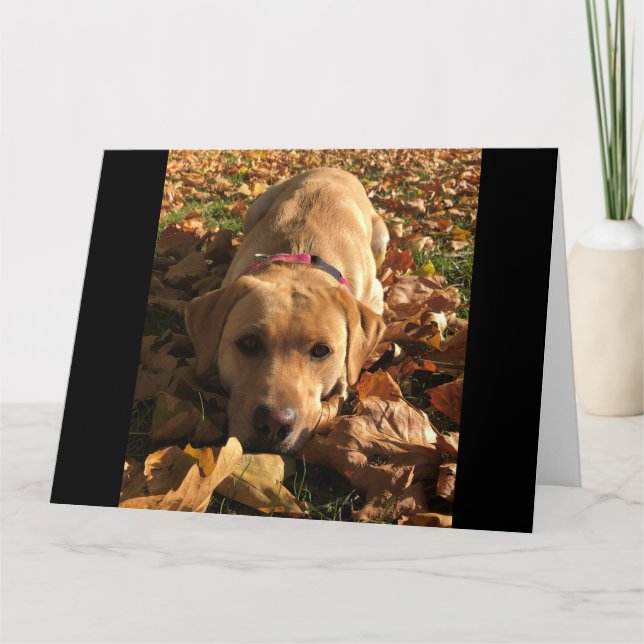 Red Fox Labrador Sat in Höst löv Hälsning Kort (Framsida)