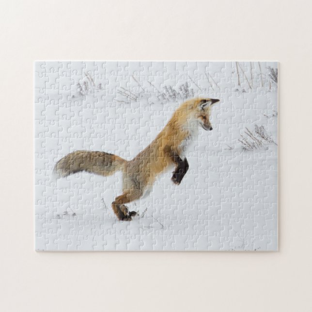 Red Fox Leaps i Snö Pussel (Horisontell)