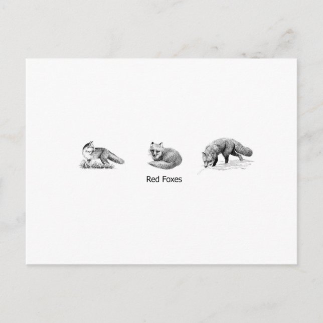 Red Fox Line Art (rubrik) Vykort (Framsida)