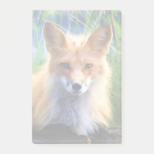 Red Fox Lutning i Grass Wildlife Image Post-it Block