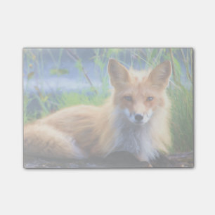 Red Fox Lutning i Grass Wildlife Image Post-it Block