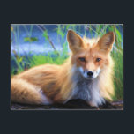 Red Fox Lutning i Grass Wildlife Image Vykort<br><div class="desc">Ett vykort med en färgstark bild av vilda djur och växter av rött räv som läggs ned i grönt gräs. Den här söta varelsen har mjuk päls och mjuk ögon.</div>