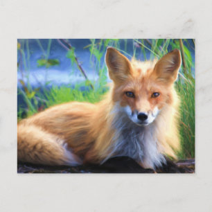 Red Fox Lutning i Grass Wildlife Image Vykort