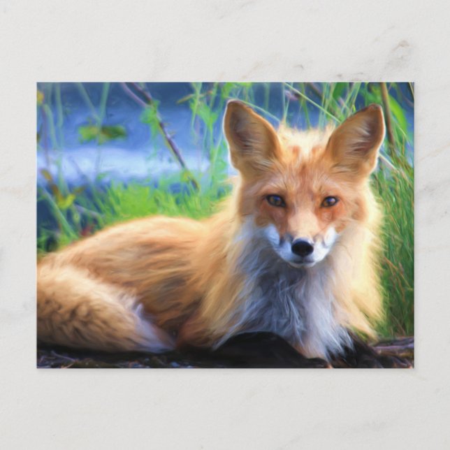 Red Fox Lutning i Grass Wildlife Image Vykort (Framsida)