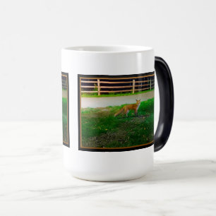 Red Fox Morphing Mugg