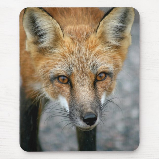 Red Fox Mouse Pad Musmatta (Framsidan)