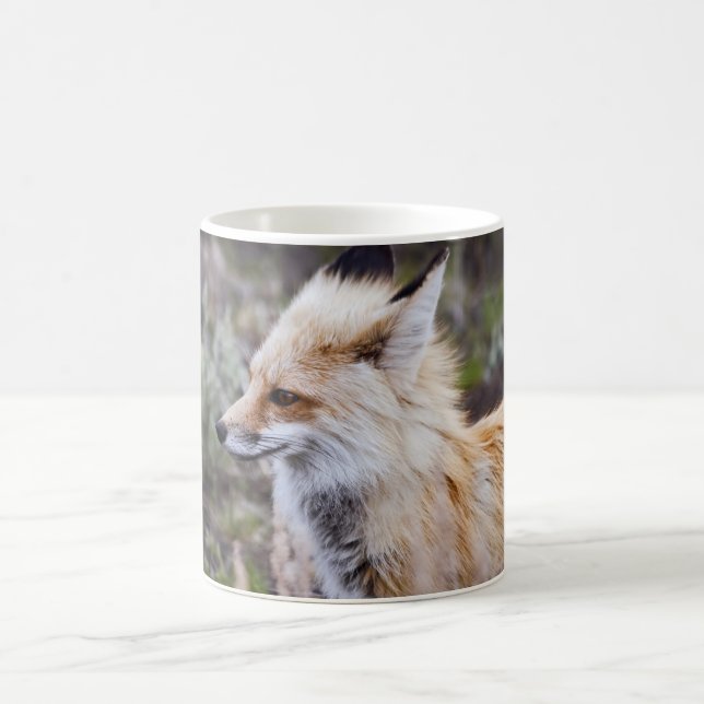 Red Fox - Mugg (Center)