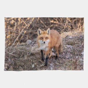 Red Fox nära och personligt Kökshandduk
