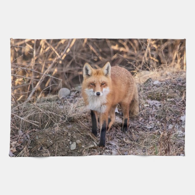 Red Fox nära och personligt Kökshandduk (Horisontell)
