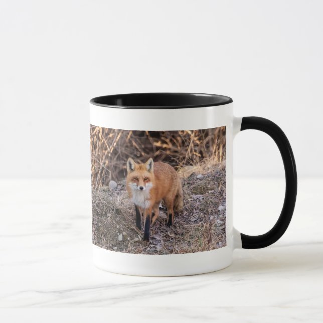 Red Fox nära och personligt Mugg (Höger)