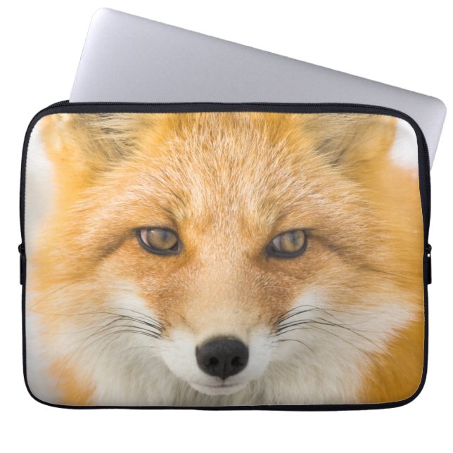 Red Fox Portrait Laptop Fodral (Framsidan)