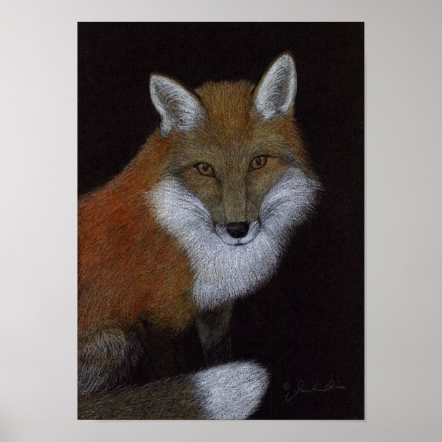 Red Fox Poster (Framsidan)