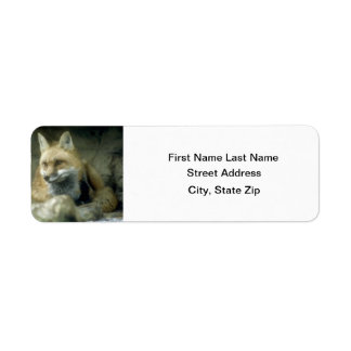 Red Fox Returadress Etikett