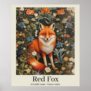 Red Fox Scientific Namn Wildlife Poster