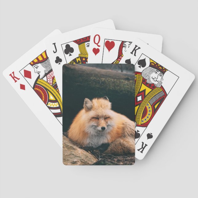 Red Fox Sleeping Casinokort (Baksidan)