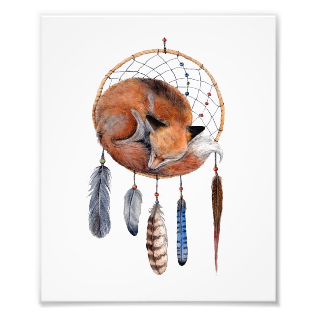 Red Fox Sleeping på Dreamcatcher Art Print Fototryck (Framsidan)