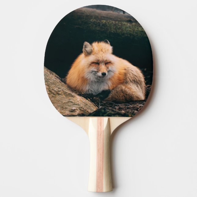 Red Fox Sleeping Pingisracket (Framsidan)