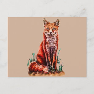 Red Fox Teckning Animal Art Pencil Sketch Foxy Vykort