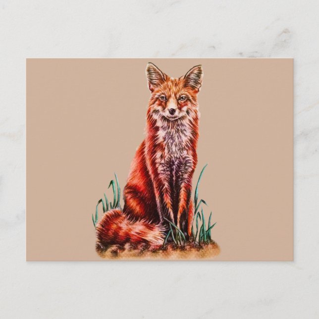 Red Fox Teckning Animal Art Pencil Sketch Foxy Vykort (Framsida)